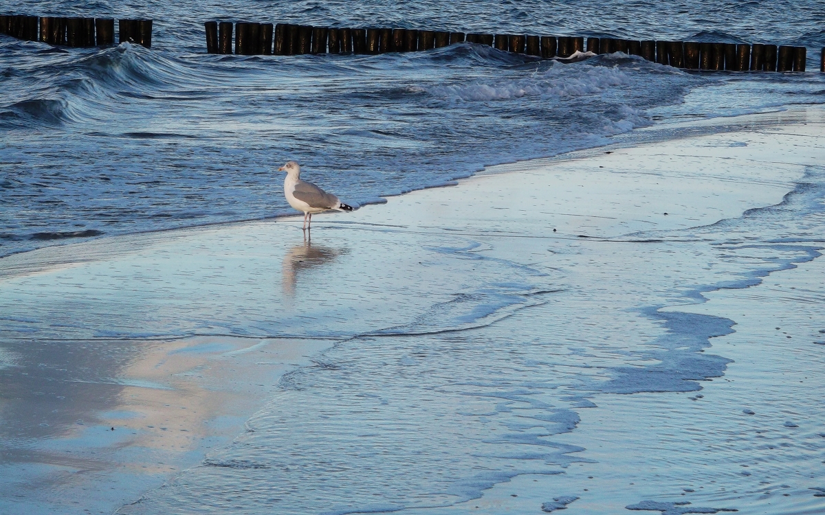 Weiter Ostseestrand
