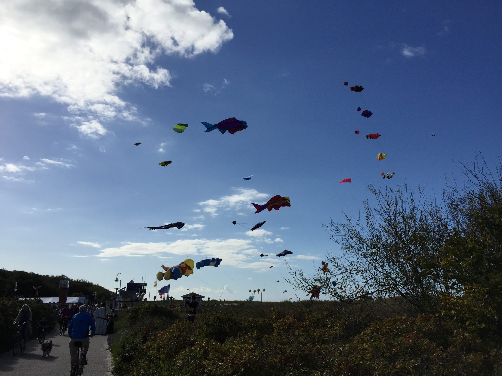 Strandfund am Meer