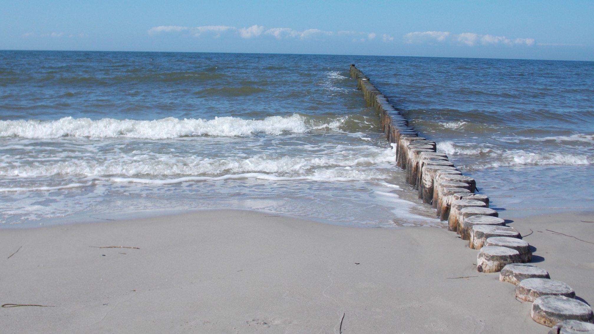 Natur an der Ostsee