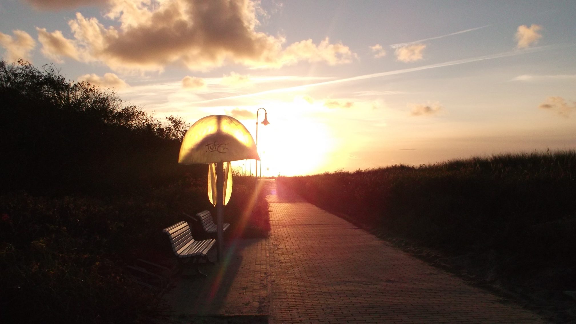 Ruhige Ostsee mit Blick über den Strand